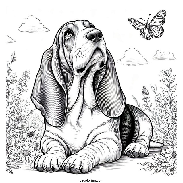 Basset Hound Looking Up
