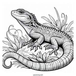 Draco Flyzard Lizard Coloring Page