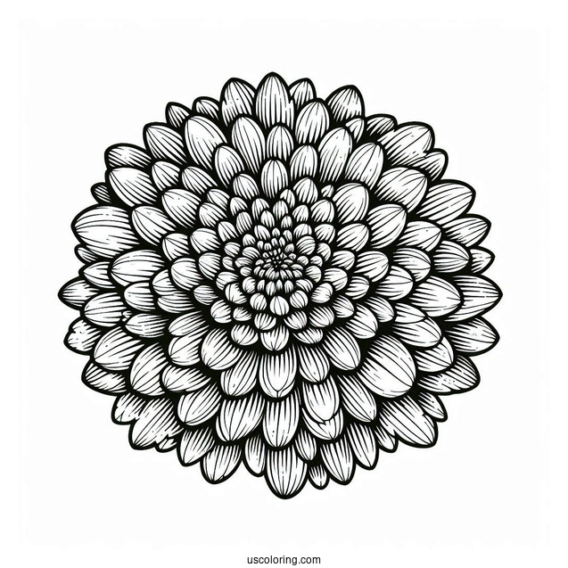 Flower Coloring Pages Of Chrysanthemum Flower Mandala