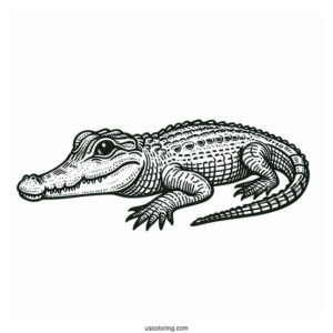 Simple Outline Of a Freshwater Crocodile To Color