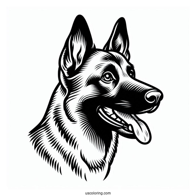 Belgian Malinois Search Dog To Color