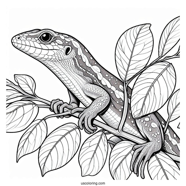Lizard Coloring Page of Green Anole Lizard Camouflaging With Leaf