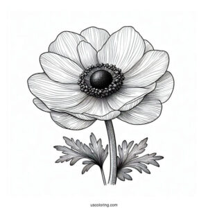 Flower Coloring Pages Of Realistic Anemone For Adults