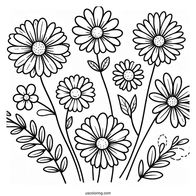 Flower Coloring Pages Of Simple Outline Of Daisies For Preschoolers
