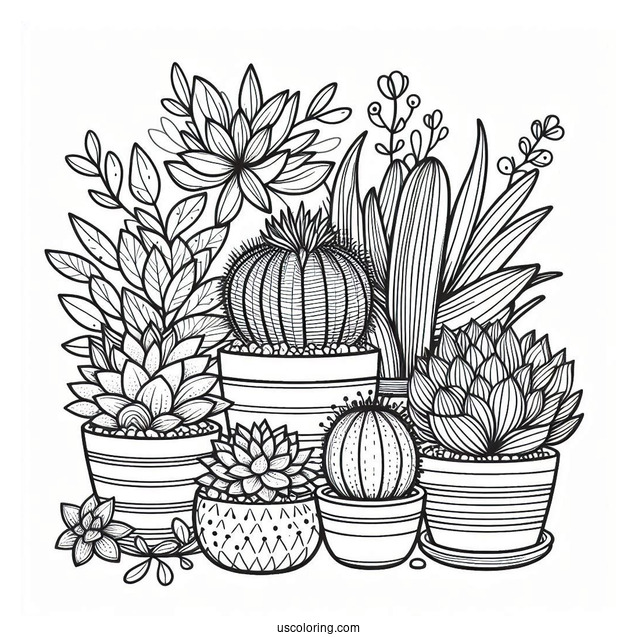 Modern Succulent Plant Coloring Sheet