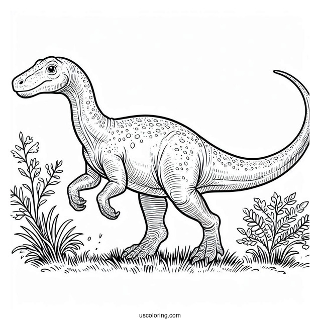 Anchisaurus Dinosaur Coloring Page Of Walking On Grass