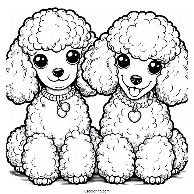 Two Miniature Poodles Smiling