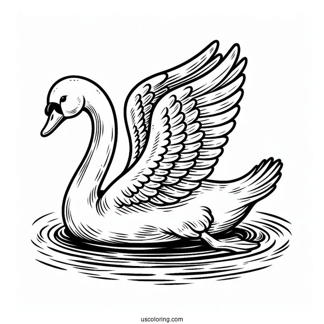 Swan Coloring Page Swimming Away From Ugly Duckling