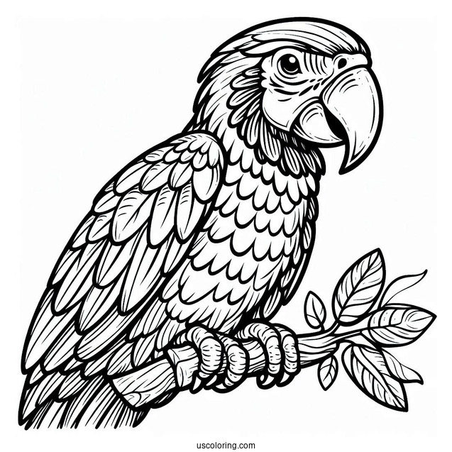 Macaw Parrot Coloring Sheet