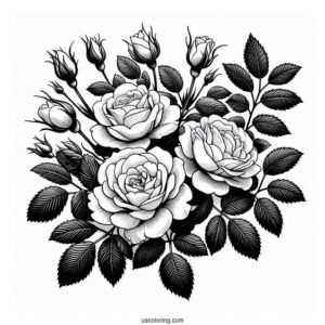 Assorted Wild Roses To Color