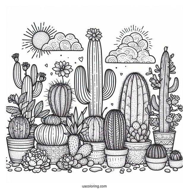 Assorted Cactus And Succulents In The Desert