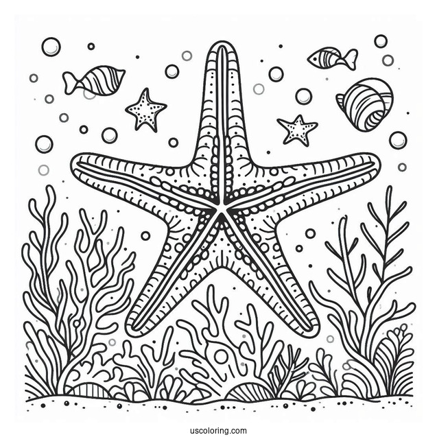 Large Starfish Coloring Page In Coral Reef For Kids