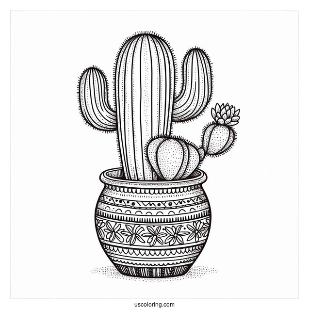 Baby Saguaro Cactus In South American Style Pot
