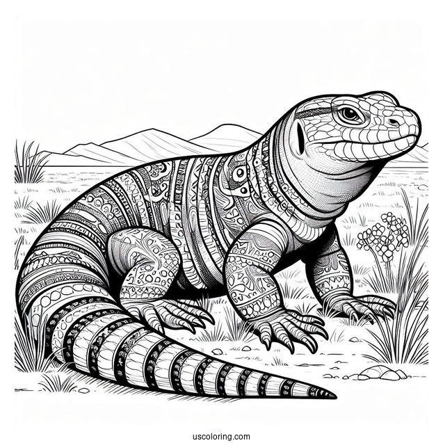 Lizard Coloring Page of Large Egyptian Uromastyx On Field