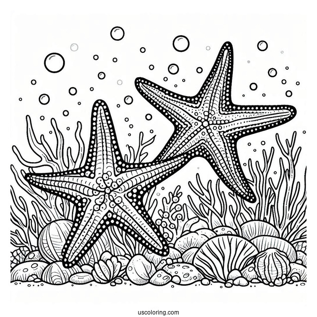 Two Starfish Coloring Page Crawling Along Coral Reef