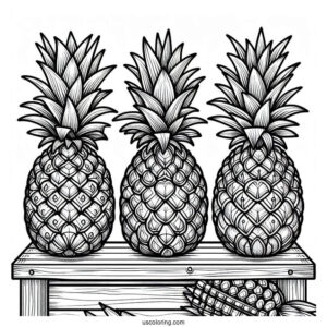 Pineapples Sitting On Shelves Coloring