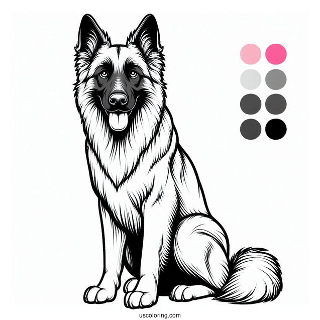 Outline Of Beglian Malinois Dog