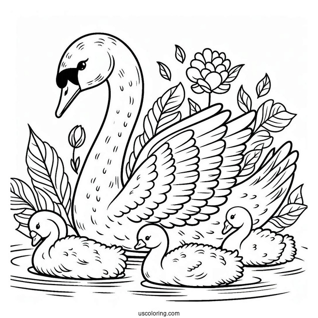 Swan Coloring Page Swimming With Cygnets