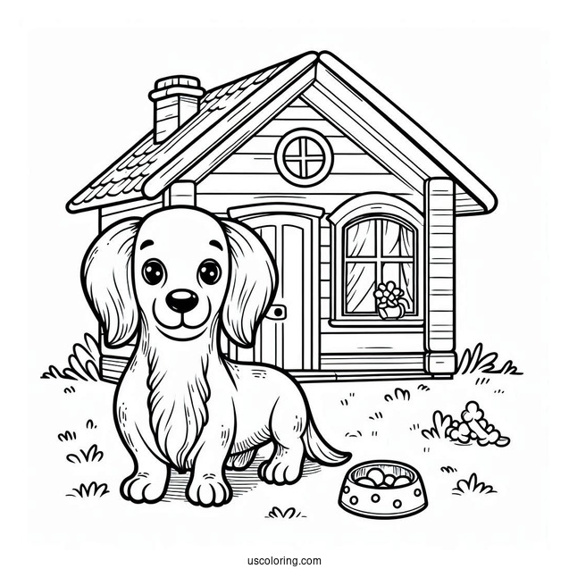 Dachshund Dog Outside Of House