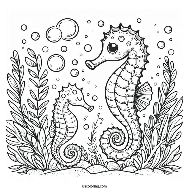 Two Cute Seahorses Blowing Bubbles