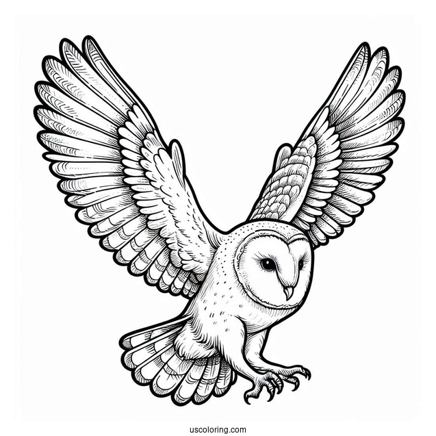 Barn Owl Flying With Large Wings