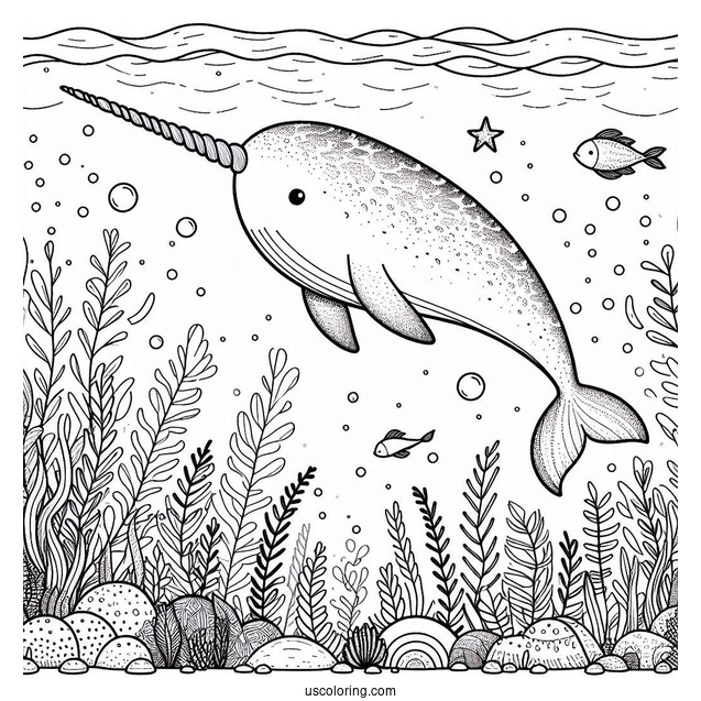 Narwhal Coloring Page Swimming Underwater With Aquatic Life