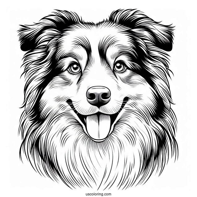 Coloring Page Of Realistic Australian Shepherd