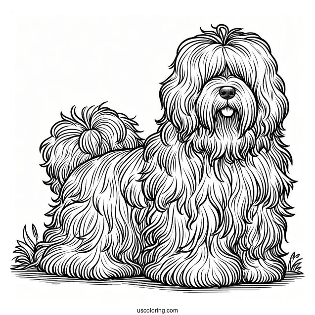 Komondor Dog With Overgrown Fur