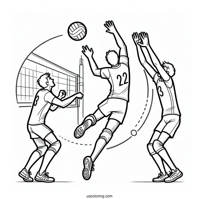 Volleyball Players Competing In The Olympics Coloring Page