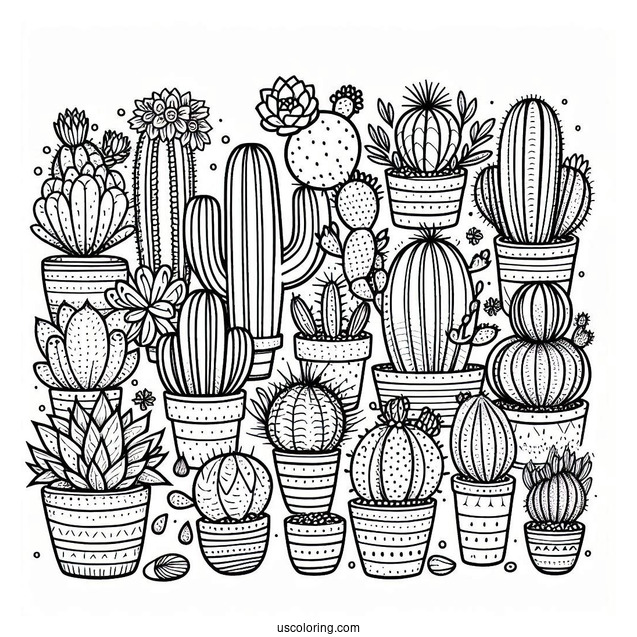 Assorted Cactus And Succulents In The Desert