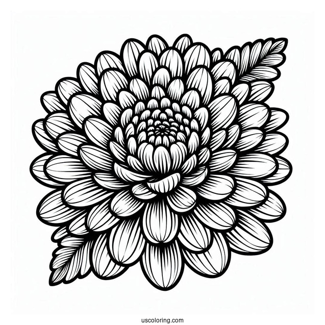 Flower Coloring Pages Of Chrysanthemum Flower Mandala