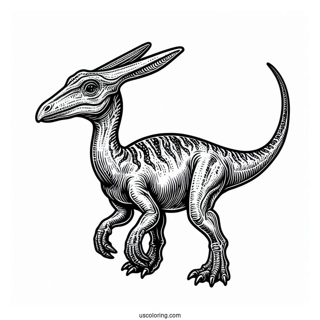 Parasaurolophus Coloring Page Fossil