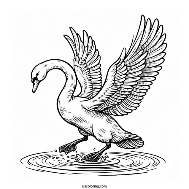 Swan Coloring Page Flying