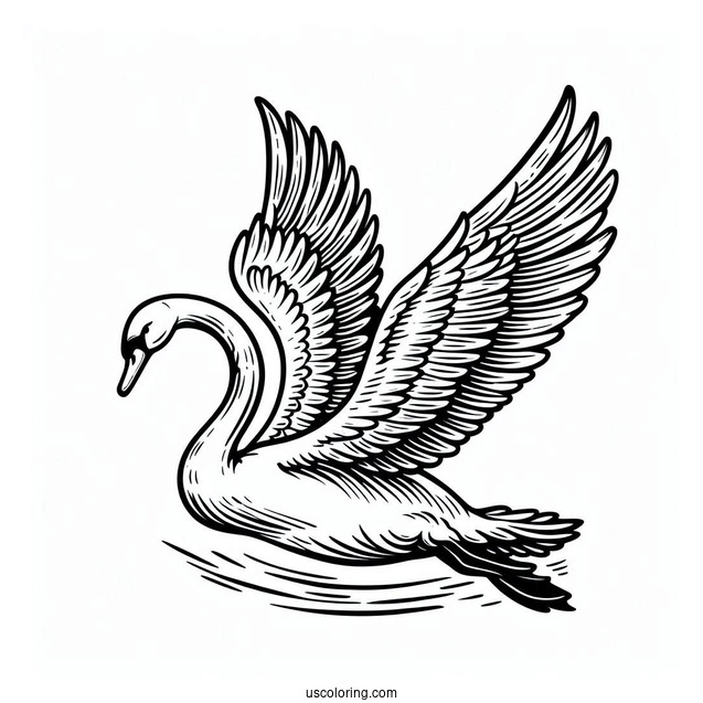 Swan Coloring Page Flying
