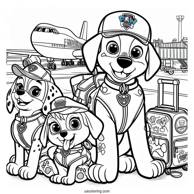Ryder And Pooch Friends At The Airport