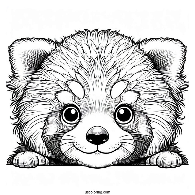 Meilin Lee Red Panda To Color