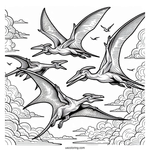 Four Adult Pterodactyl Coloring Page In The Sky
