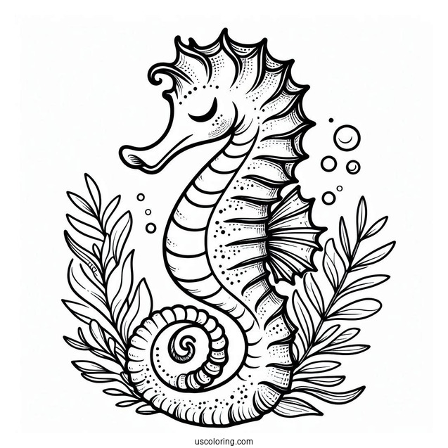 Mythical Seahorse Mermaid Coloring Page