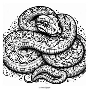Large Python Snake