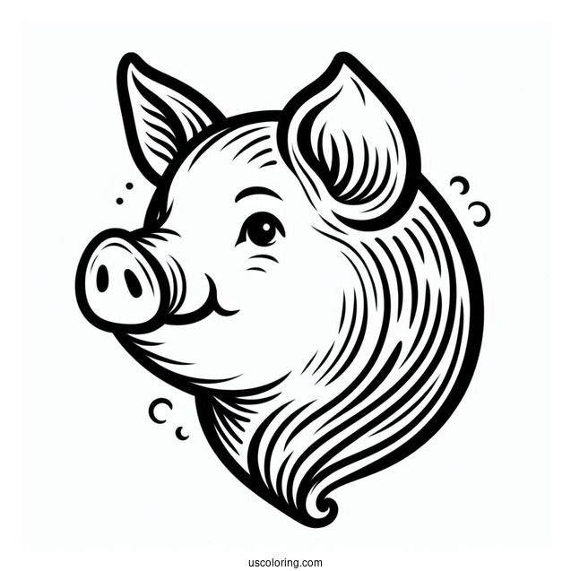 Simple Outline Of a Pigs Head To Color