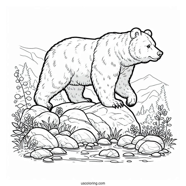 Bear Coloring Page Walking In Rocky Terrain