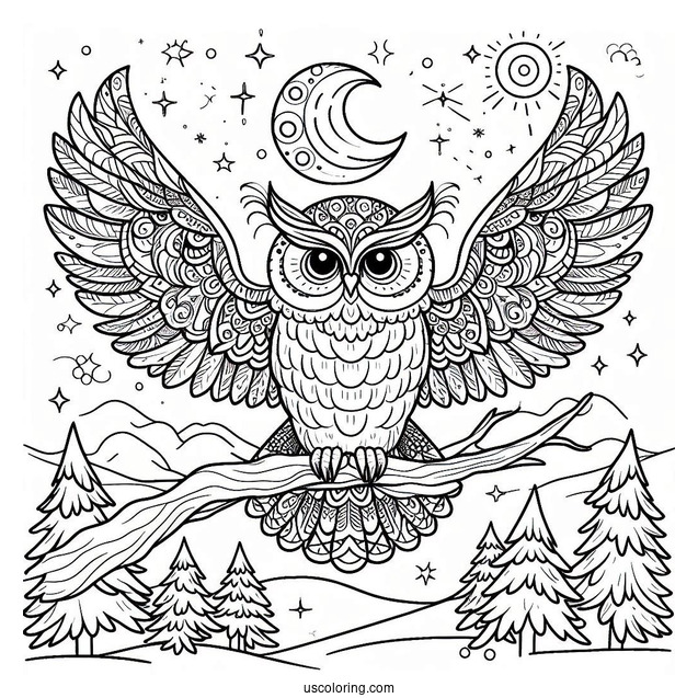 Owl Coming In To Land