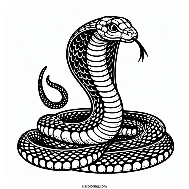 Coloring Sheet Of King Cobra Snake