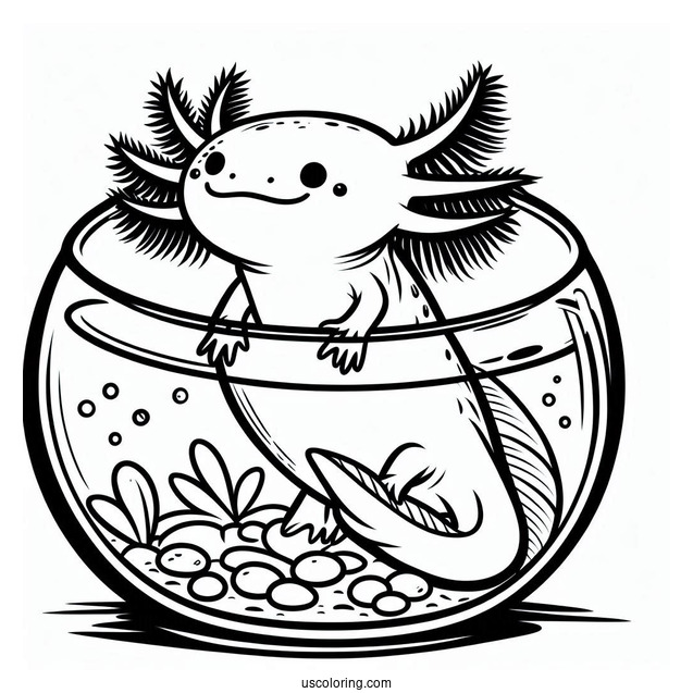 Axolotl Coloring Page Inside A Fish Bowl For Kids