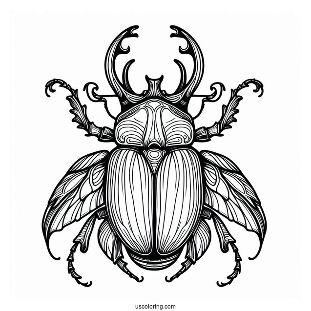 Atlas Beetle Coloring Page Outline For Kids