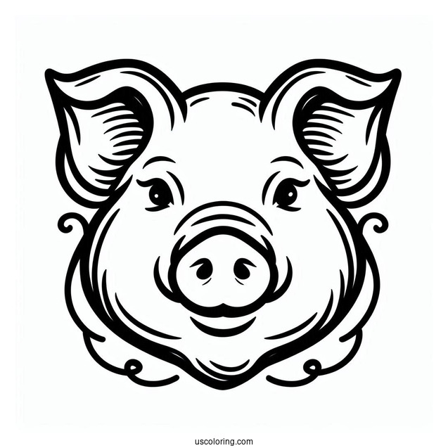 Simple Outline Of a Pigs Head To Color