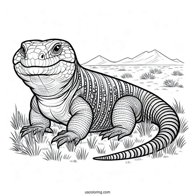 Lizard Coloring Page of Large Egyptian Uromastyx On Field
