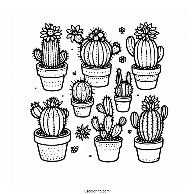 Various Baby Cactus Plants To Color