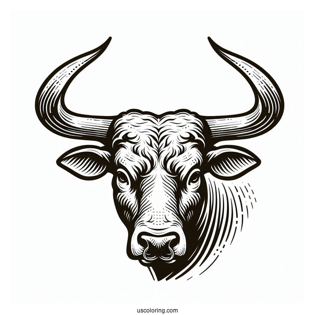 Texas Longhorn Bullhead Coloring Sheet