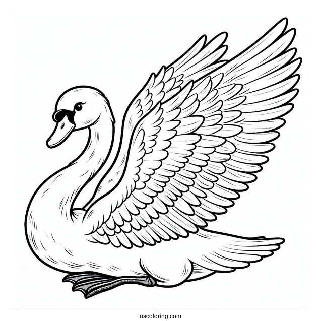 Easy Swan Coloring Page With Wings Spread Out For Kids